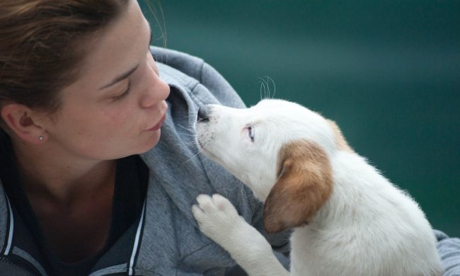 A woman kissing a dog
